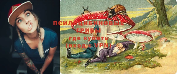 MESCALINE Новодвинск