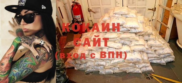 хмурый Новозыбков
