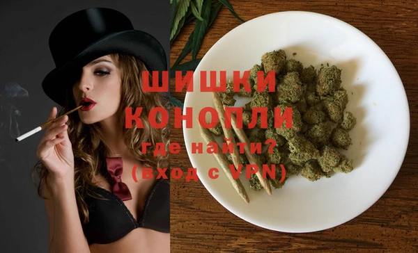 хмурый Новозыбков