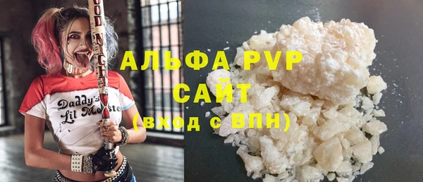 хмурый Новозыбков