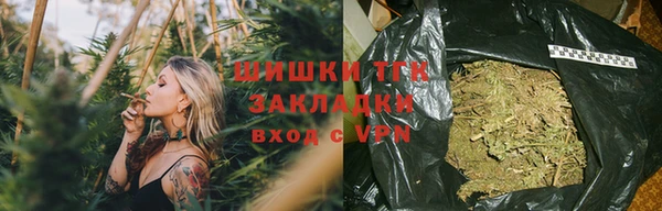 хмурый Новозыбков