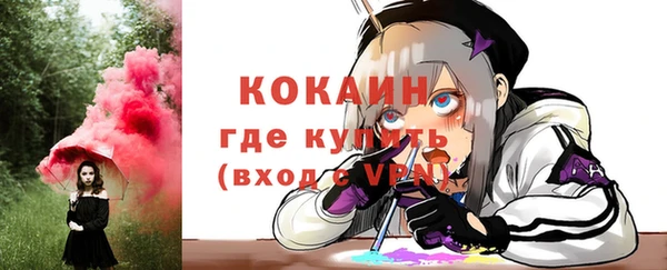 хмурый Новозыбков