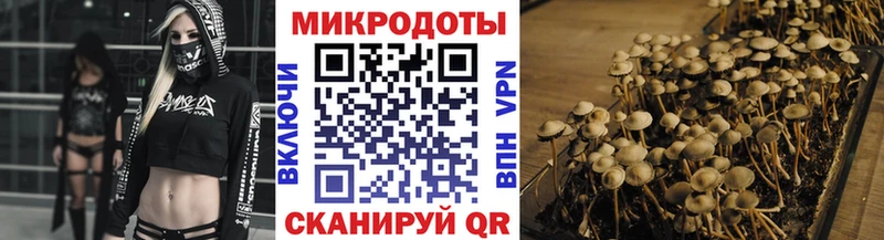 маркетплейс как зайти Соль-Илецк Псилоцибиновые грибы GOLDEN TEACHER
