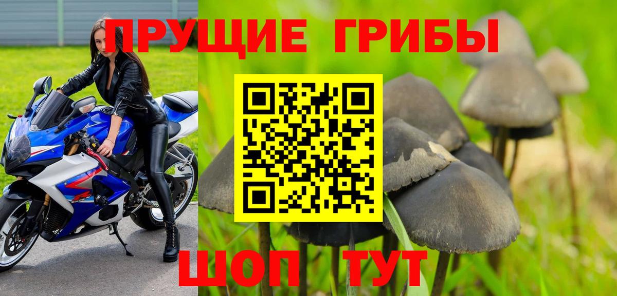 закладка  Галлюциногенные грибы ЛСД  Вход с VPN  Соль-Илецк 