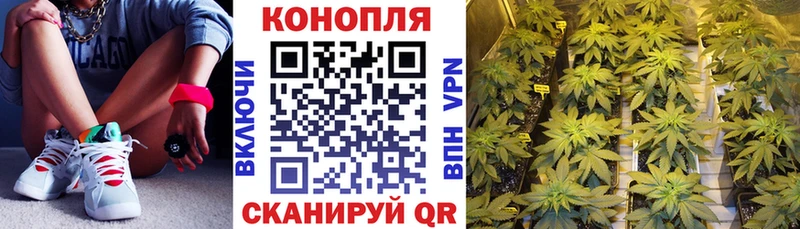 Бошки марихуана LSD WEED  MEGA ссылки  Соль-Илецк 